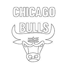 Chicago-Bulls-16