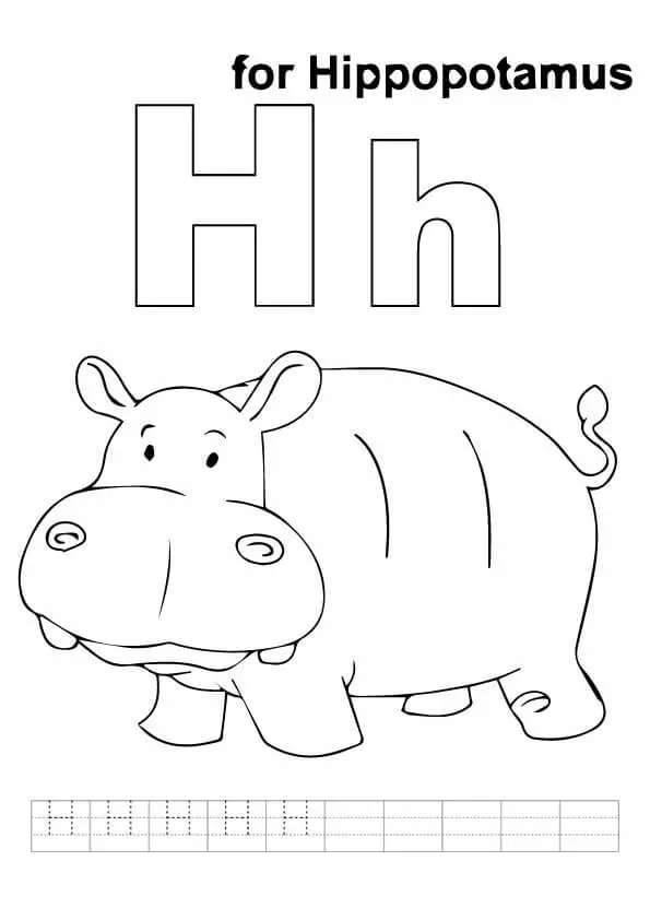 H-For-Hippo