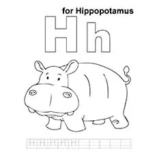 H for Hippo coloring page