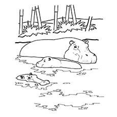 Hippo swimming coloring page