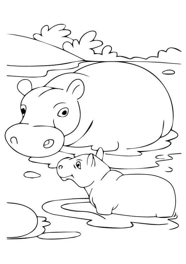 Hippo-With-Baby