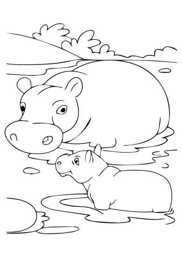 Hippo-With-Baby