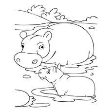 hippo coloring pages