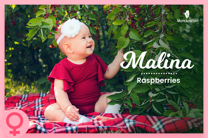 Malina is a variation of the Greek name <a href=https://cdn2.momjunction.com/baby-names/melina/ >Melina</a>