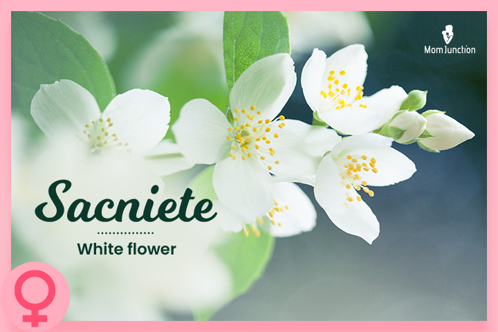 Sacniete is a traditional Mayan name meaning "white flower"