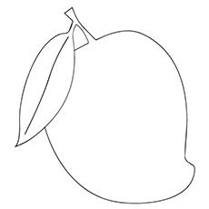 155 Mango Drawing Stock Photos HighRes Pictures and Images  Getty Images