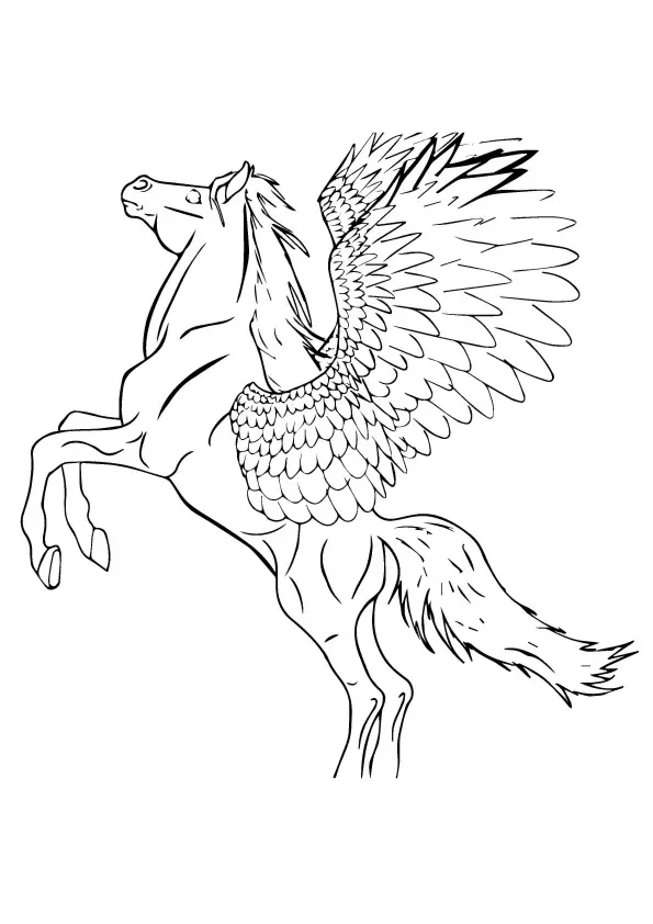 The-Resplendent-Pegasus