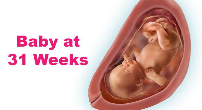 31 Weeks Pregnant: Symptoms And Baby Development