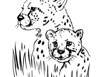10 Best Jaguar Coloring Pages For  Little Ones