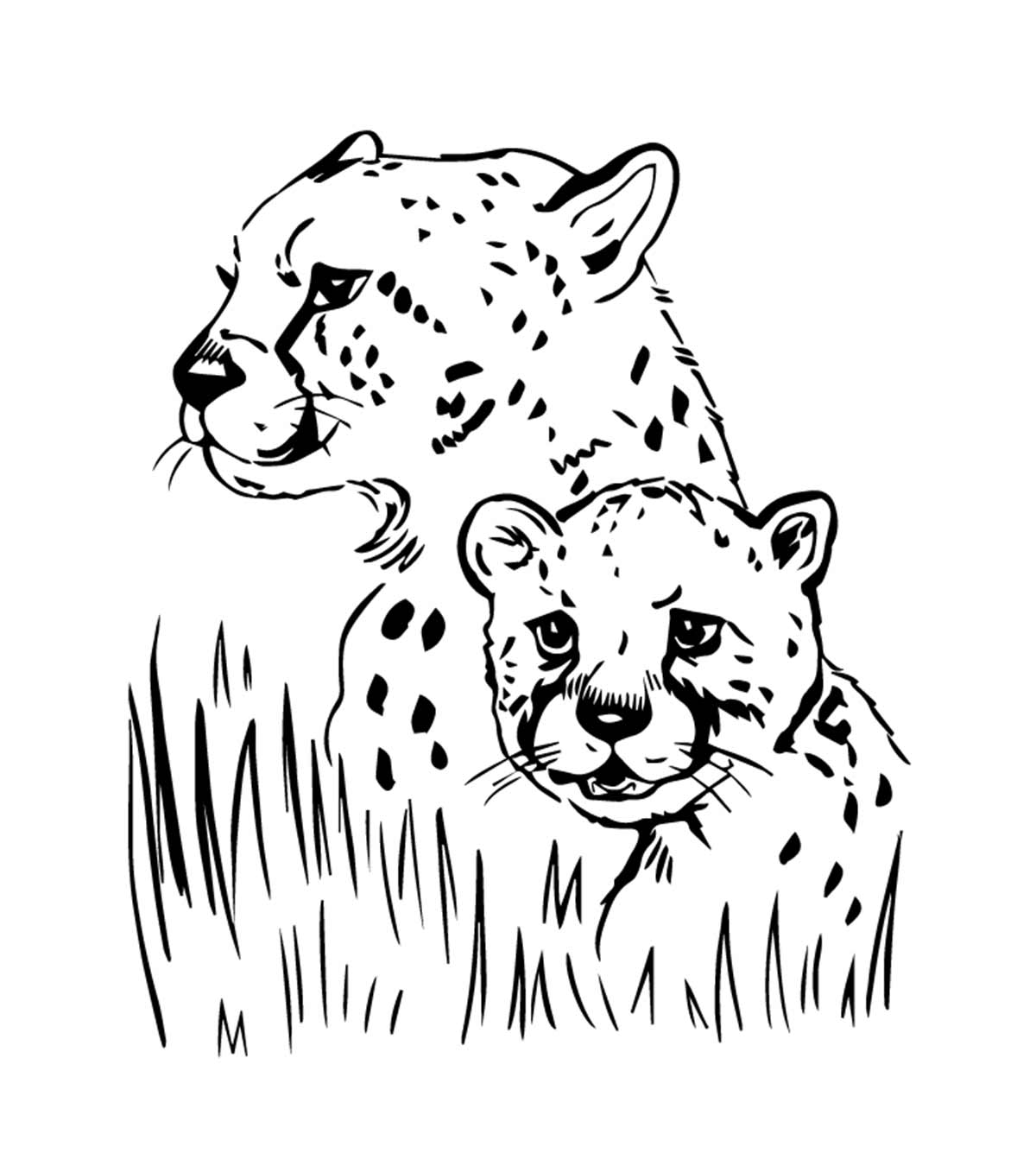 Download Animal Coloring Pages - MomJunction