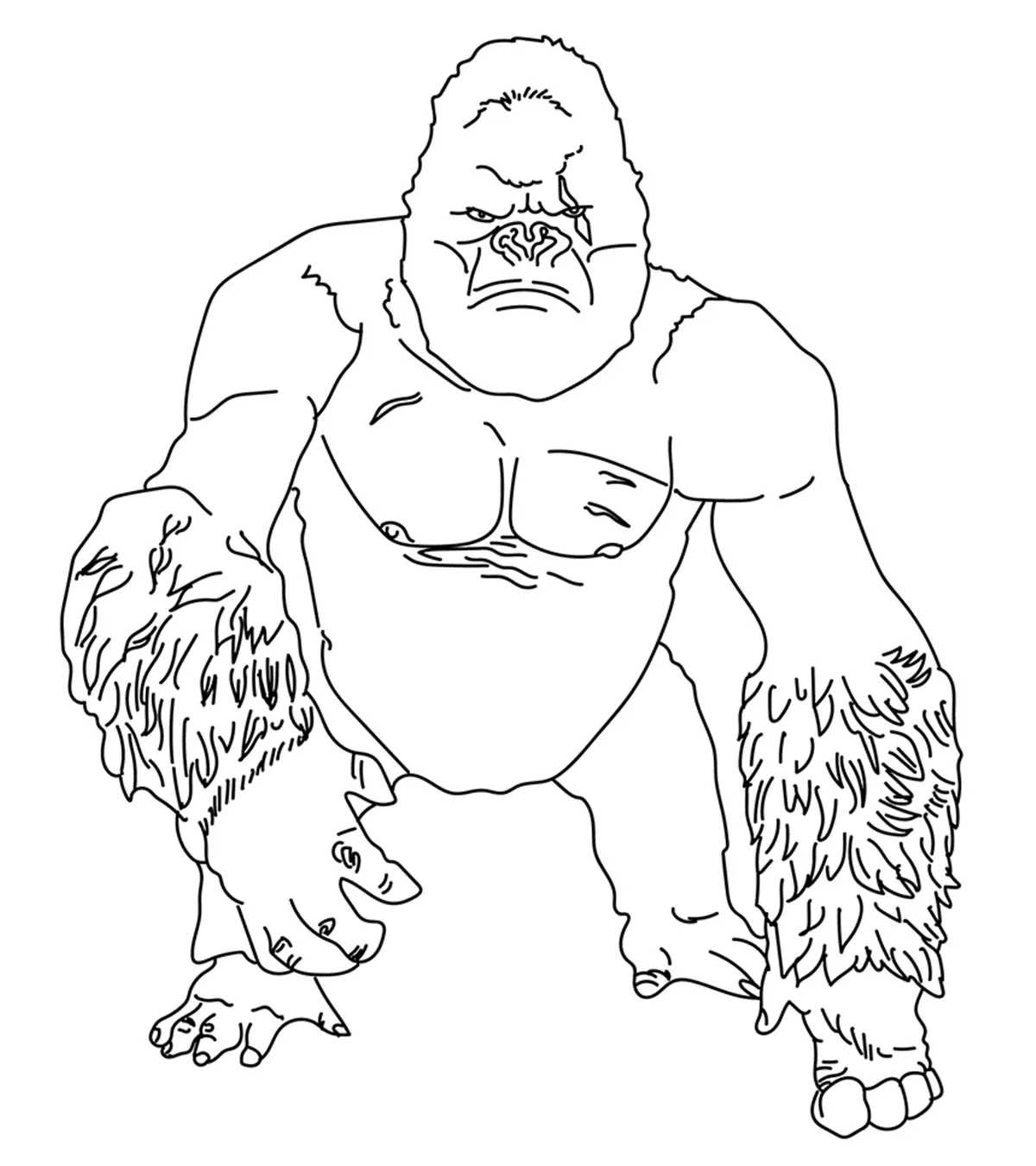 10 Cute Gorilla Coloring Pages For Your Little Ones