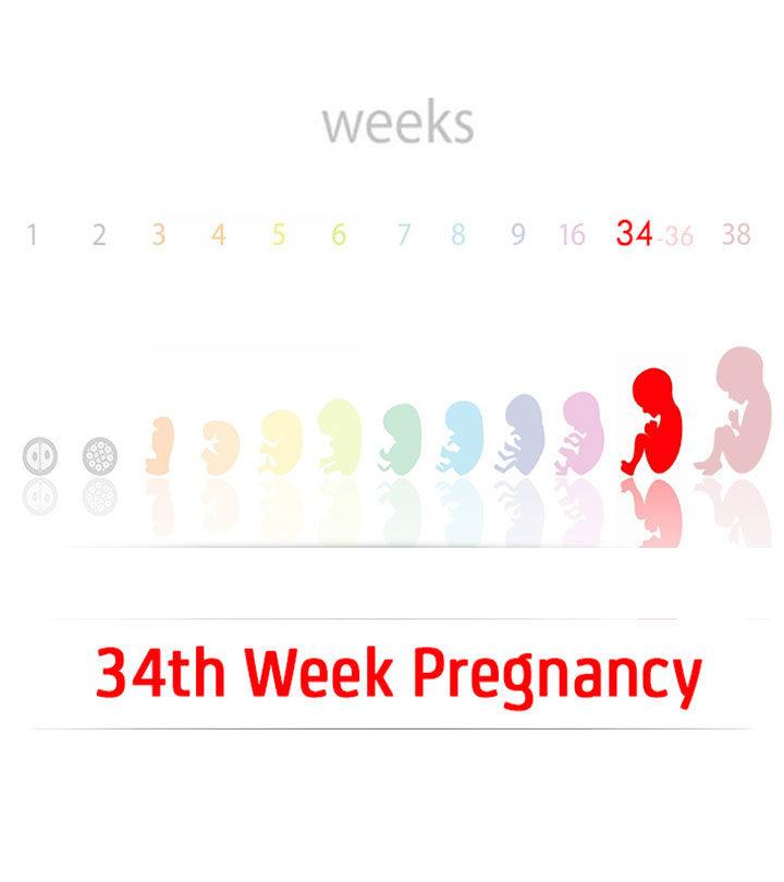 34th Week Pregnancy