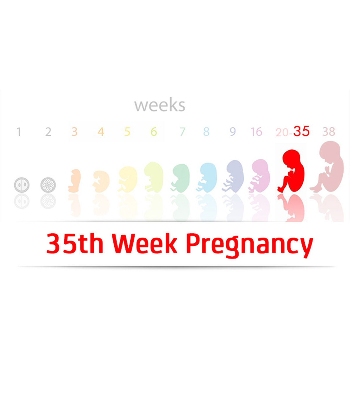 35th Week Pregnancy: Symptoms, Baby Development And Tips