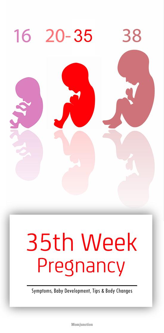 35th Week Pregnancy: Symptoms, Baby Development And Body Changes