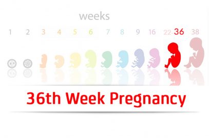 第36周怀孕：症状和婴儿发育