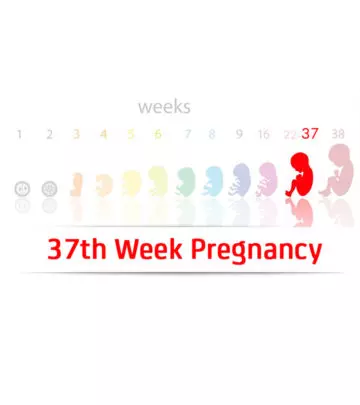 37th-Week-Pregnancy