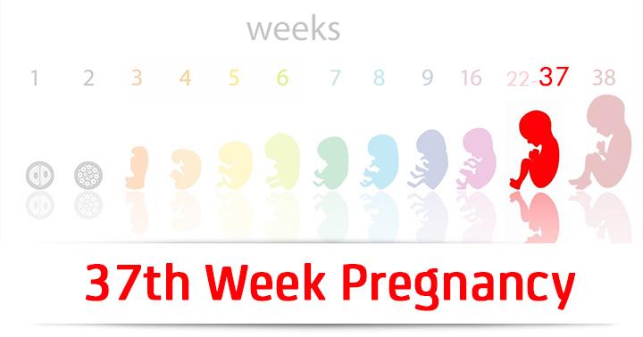 37th-week-pregnancy-symptoms-baby-development-and-bodily-changes