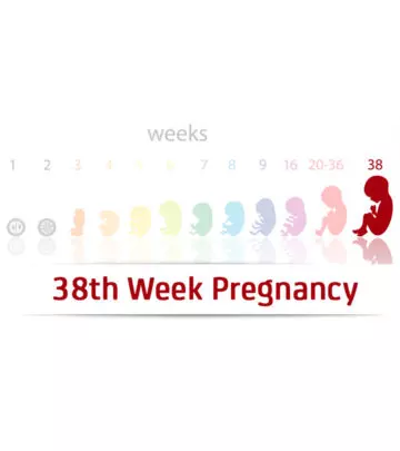 38th-Week-Pregnancy