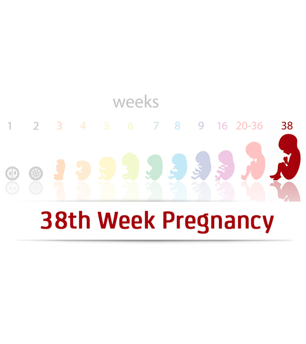 38th Week Pregnancy: Symptoms, Baby Development, And Tips