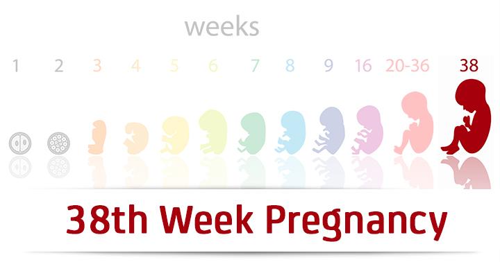 38th Week Pregnancy Symptoms Baby Development And Body Changes