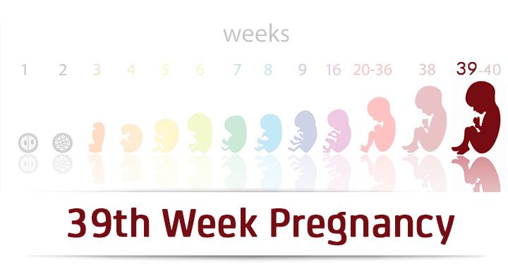 39th Week Pregnancy Symptoms Baby Development And Body Changes