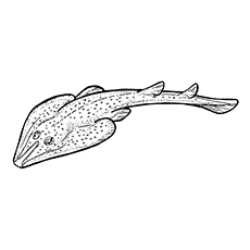 Majestic Stingray coloring page