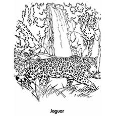 Download 10 Best Free Printable Jaguar Coloring Pages Online