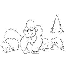 Ajax Gorilla coloring page