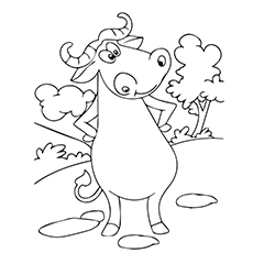 Standing American Buffalo coloring page