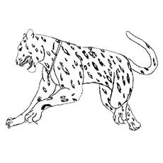 American Jaguar printable coloring page