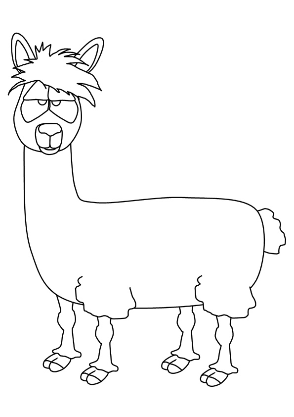 Animated-Llama