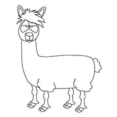 Animated llama coloring page online