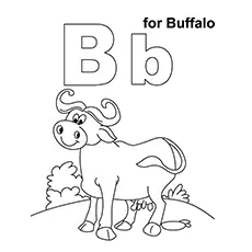 B For Buffalo coloring page