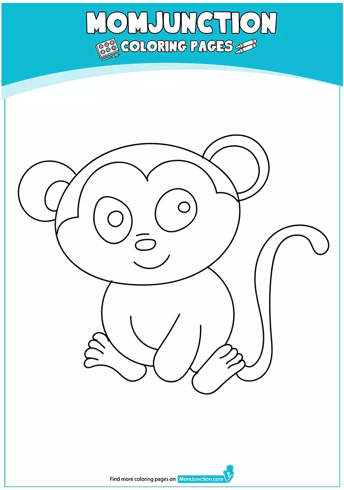 Baby-Chimp-16