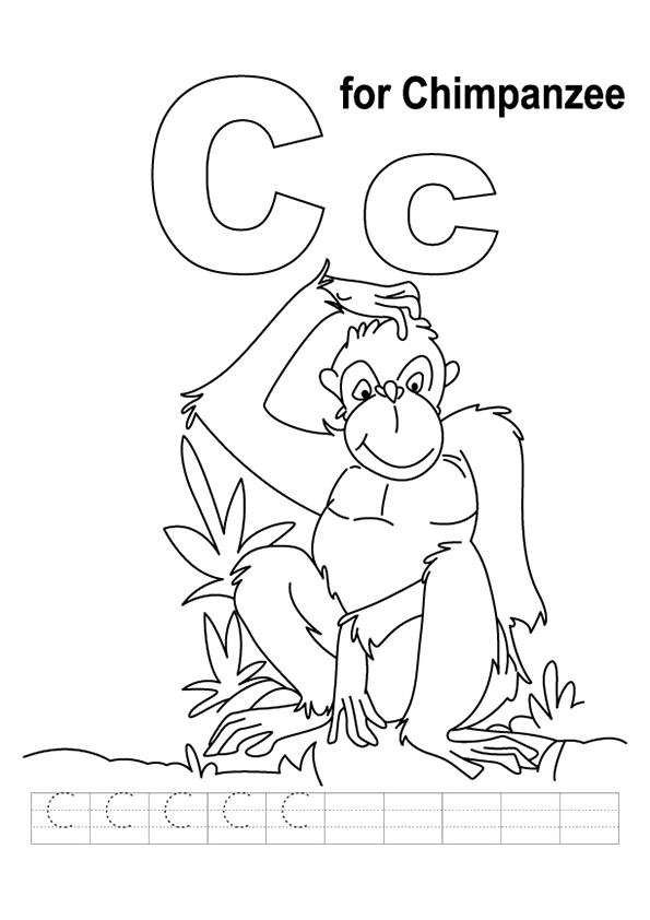 C-For-Chimpanzee