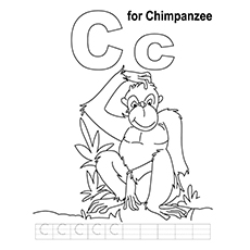 C for Chimpanzee coloring page