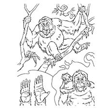 Chimp family coloring page