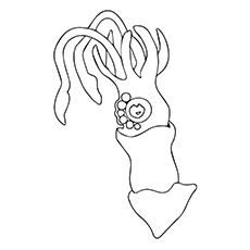 Colossal Squid coloring page