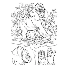 Cross river Gorilla Coloring Page_image