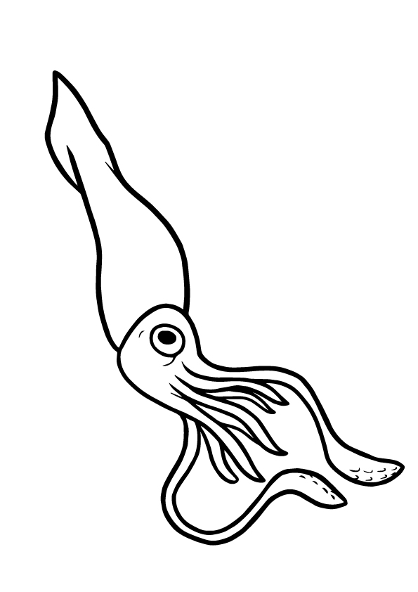 Giant-Squid