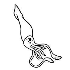 The Giant Squid Colouring Pages Sketch Coloring Page