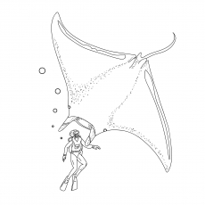 Coloring page of giant Stingray