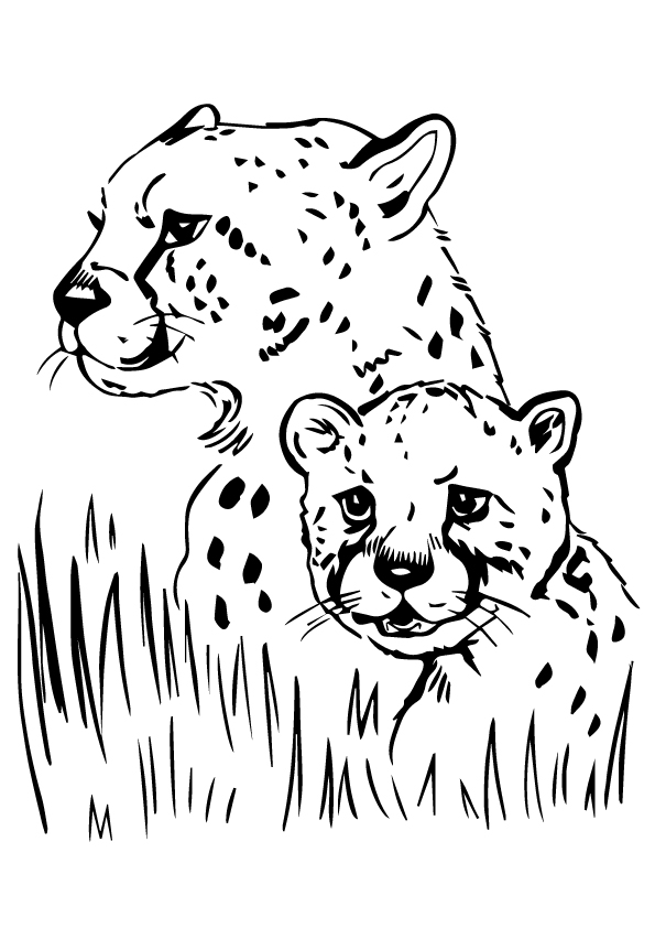 Jaguar-With-Her-Cub