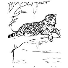 10 Best Free Printable Jaguar Coloring Pages Online