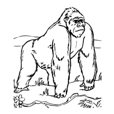 Majestic Gorilla coloring page_image