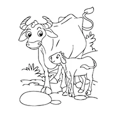 Mama Buffalo and calf coloring page