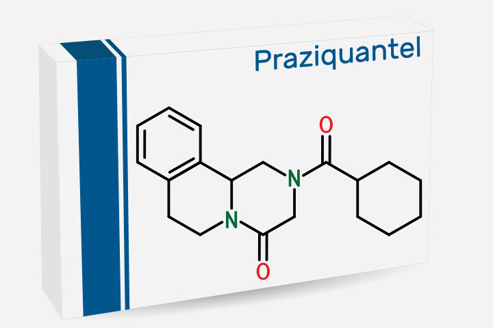 Praziquantel can help treat beef tapeworms and fish tapeworms