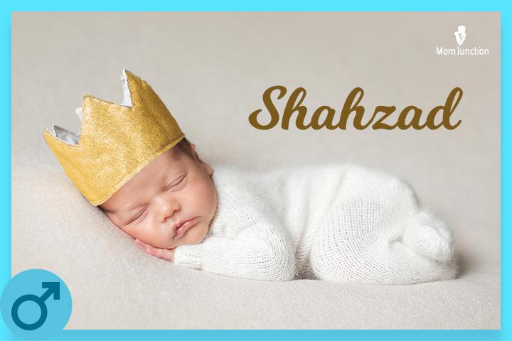 10 Wonderful Baby Boy Names That Mean Prince 