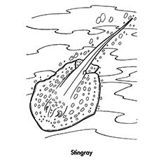 stingray coloring page