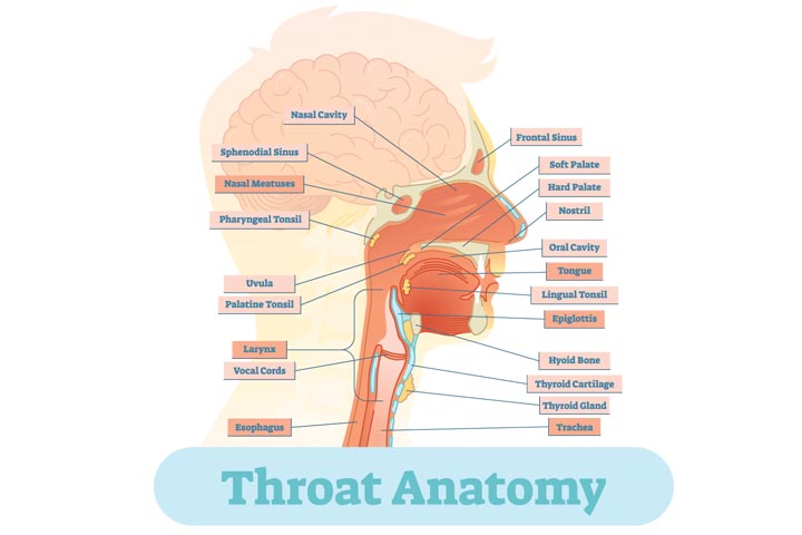 Throat anatomy, Throat cancer in children